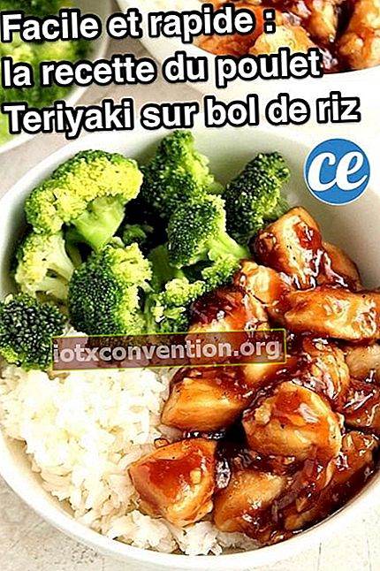 Ricetta giapponese per teriyaki di pollo su una ciotola di riso con broccoli