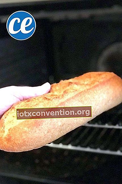 Aus dem Ofen weiches abgestandenes Brot