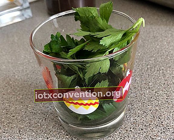 Masukkan herba aromatik ke dalam gelas