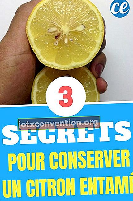 3 Tipps zur Aufbewahrung von 1 geöffneten Zitrone