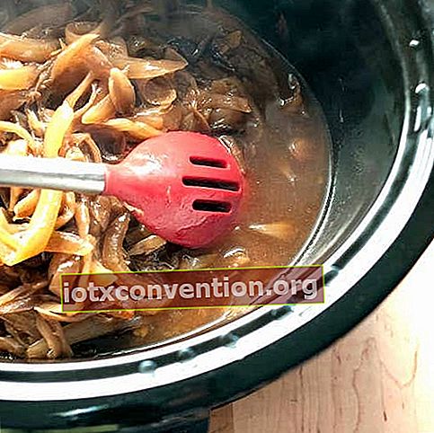 Resep slow cooker mudah: SEMPURNA dan bawang karamel tidak mungkin terlewatkan!