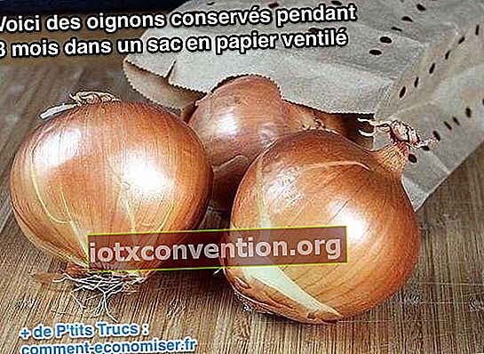 Conservazione delle cipolle in busta per 3 mesi