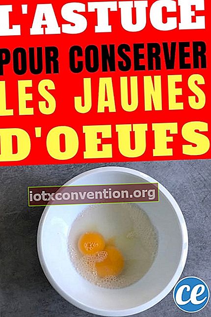Tuorli d'uovo ricoperti d'acqua per una migliore conservazione