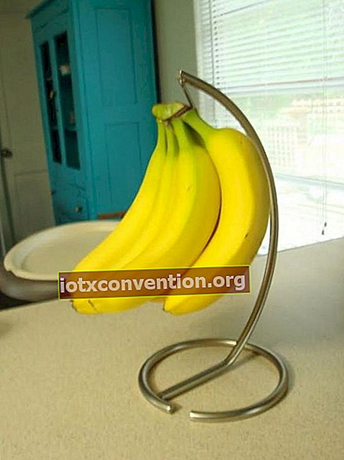 오랫동안 보관하기 위해 매달린 바나나