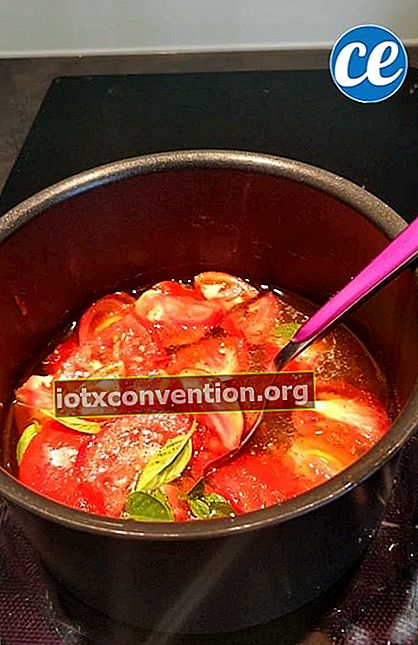 hemlagad tomatcoulis