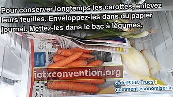 Karotten halten länger, indem sie in eine Zeitung gelegt werden