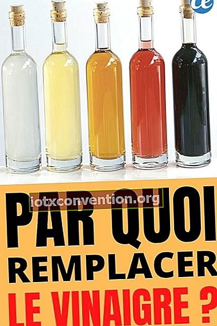 5 botol cuka dengan warna berbeda