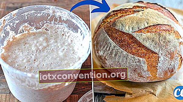 Cara membuat ragi buatan sendiri untuk membuat roti