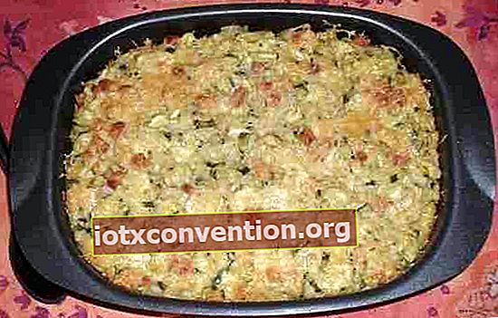 resep untuk zucchini gratin dengan nasi
