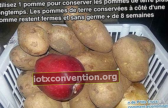 Använd ett äpple för att hålla potatisen längre