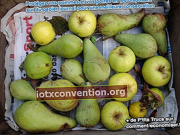 använd tidningen för att förvara äpplen och päron