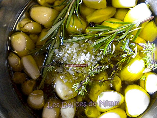 Der Tipp, Olivenöl jahrelang aufzubewahren!