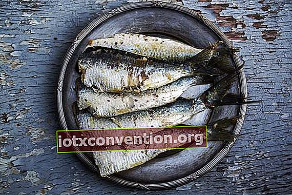 grillade sardiner som presenteras på en tallrik