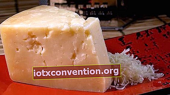 Visste du att ost kan lagras i frysen?