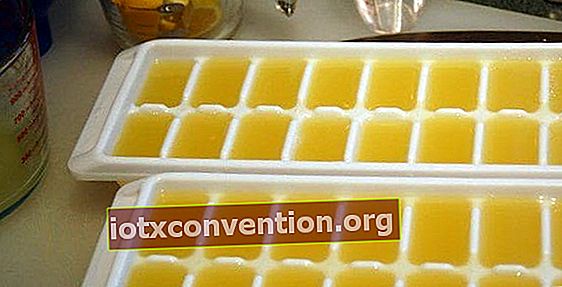 Limone in vaschette per cubetti di ghiaccio da conservare in congelatore