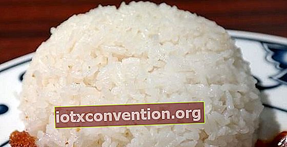Sapevi che puoi conservare il riso nel congelatore?