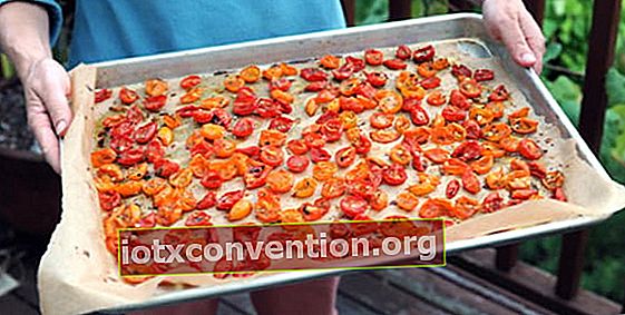 Visste du att rostade tomater kan lagras i frysen?