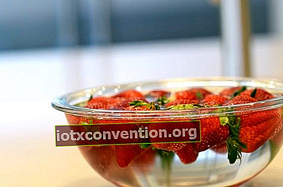 Waschen Sie die Erdbeeren mit Essigwasser