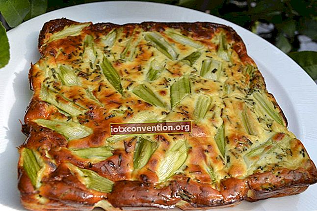 Resep Pasta Zucchini dengan Harga Kurang dari € 0,40 per Orang!