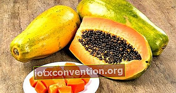 Papaya zur Linderung schmerzhafter Perioden