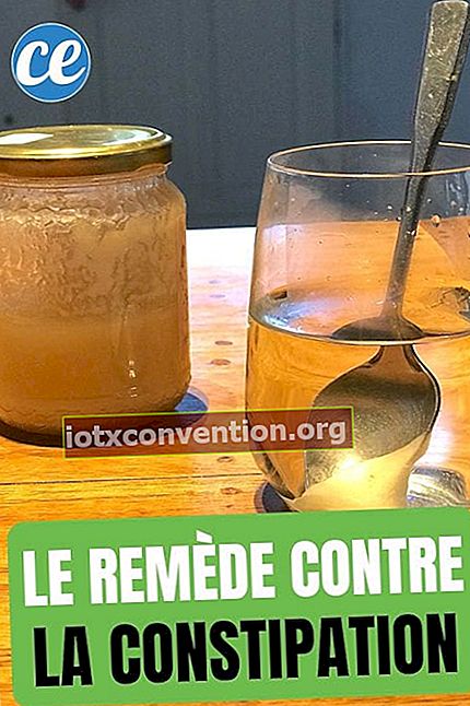 Ein Glas Honig und ein Glas lauwarmes Wasser mit einem Löffel Honig als Mittel gegen Verstopfung