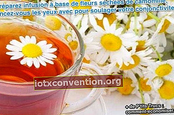 Siapkan infus berdasarkan bunga chamomile kering, bilas mata Anda dengan itu untuk meredakan konjungtivitis Anda