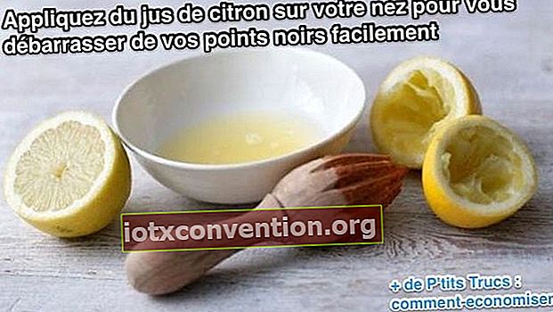 impurità del succo di limone