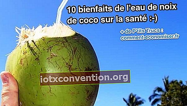 Kokosnuss mit einem Strohhalm zum Trinken von Kokosnusswasser