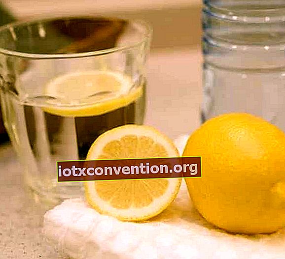 Ein Glas Wasser mit Zitronenscheiben zur Linderung von Husten
