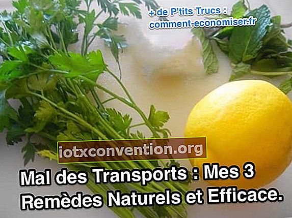 peterseli, lemon, dan mint adalah pengobatan alami yang efektif untuk meredakan mabuk perjalanan