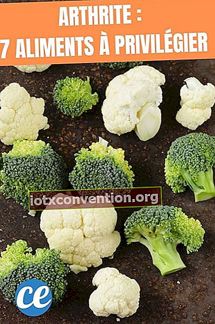 Broccoli och blomkål på jorden är livsmedel för artrit