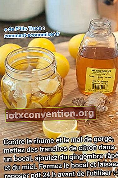 Verwenden Sie Zitrone, Honig und Ingwer als Heilmittel gegen Halsschmerzen