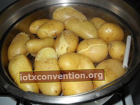 Eine Ofenkartoffel heilt einen Kater