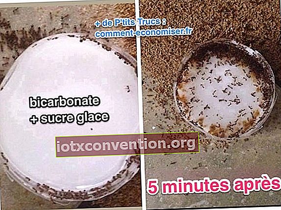 Bakpulver är ett effektivt myrmedel mot myror