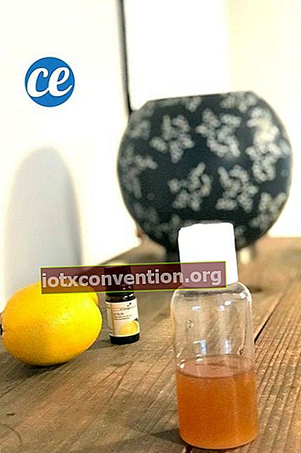 Sebotol gel hidroalkohol buatan sendiri dengan lemon dan minyak esensial