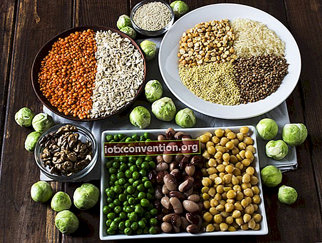 식물성 단백질에서 가장 풍부한 15 가지 식품.