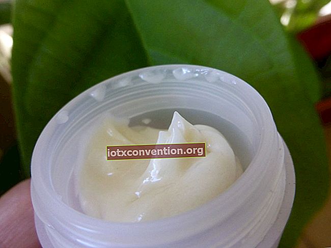 Efficace e facile da preparare: crema antirughe casalinga con olio essenziale di olibano.