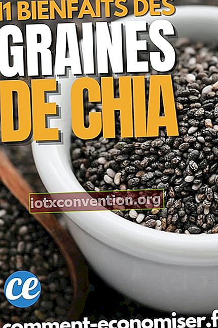Chia-Samen: die 11 wissenschaftlich nachgewiesenen gesundheitlichen Vorteile.