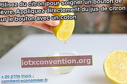 Verwenden Sie Zitrone, um Fieberbläschen zu heilen