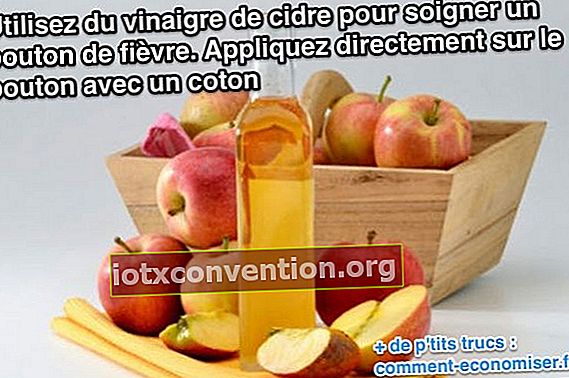 Usa l'aceto di mele per trattare il mal di freddo