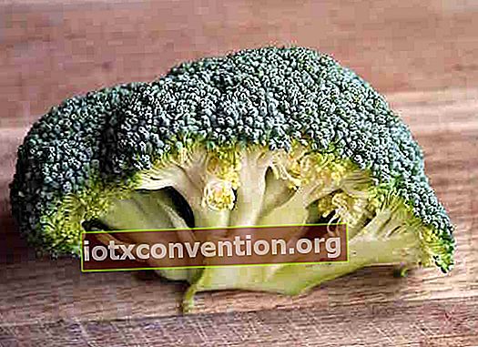 Visste du att broccoli är en av de bästa livsmedlen för hälsa och viktminskning?