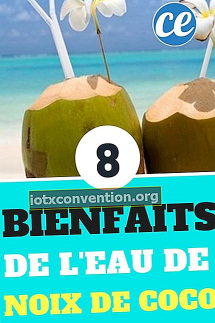 8 fördelar med kokosnötvatten som du inte visste
