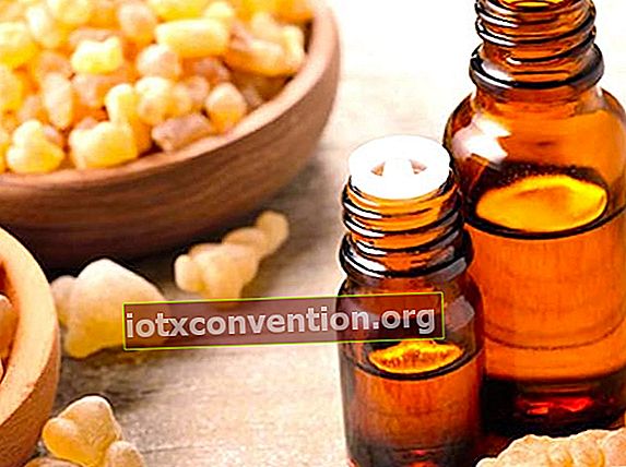 Kemenyan dalam biji-bijian dan dalam botol minyak esensial, juga dikenal sebagai kemenyan.