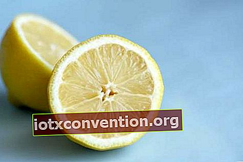 citron för fettförbränning