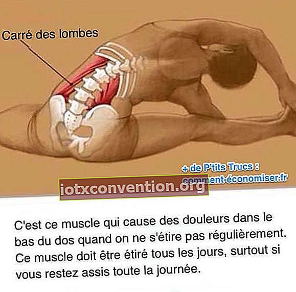 Untuk menghindari nyeri di punggung bawah, regangkan otot yang disebut kuadrat punggung bawah setiap hari