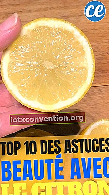 De tio bästa skönhetsmormors tips, tricks och recept med citron.