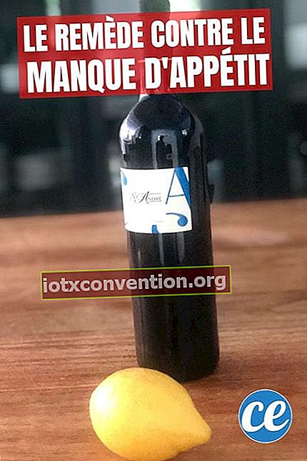 En citron och en flaska rött vin för att avhjälpa aptitlöshet