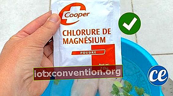Magnesium Klorida dan Sage untuk Meredakan Panas Kaki Bengkak