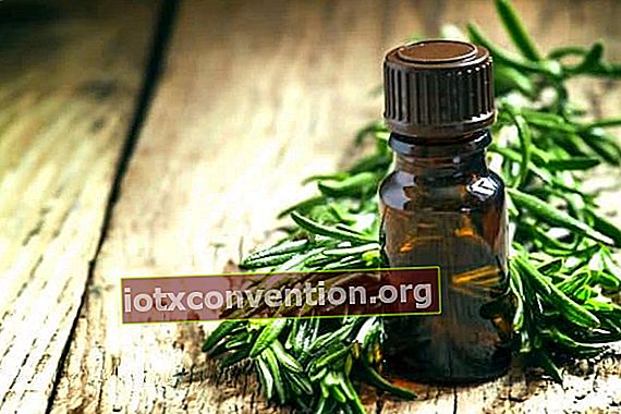 L'olio essenziale di melaleuca è il miglior olio essenziale per combattere l'acne in modo naturale.