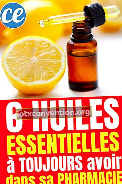 Berkat daftar ini, Anda akan menemukan 6 minyak esensial esensial untuk kesehatan Anda :-)